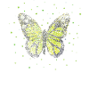 Butterfly Butterfly Gardener