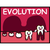 Tooth development. Dentist Gift