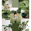happy lifestyle | green trendy collage