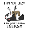 Funny Sloth Panda Saying Funny Gift