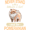 Pomeranian Dog Dog Owner