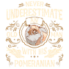 Pomeranian Dog Dog Owner