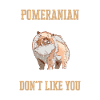 Pomeranian Dog Dog Owner