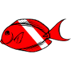 Doktorfisch two von Scuba.Style