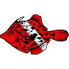 File fish by Scuba.Style