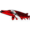 Pike by Scuba.Style