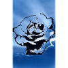 Dark Blue Sky Flower