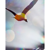 Bird in Flight 2