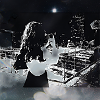 Moonlight Wanderer