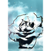 Blue Sky Flower