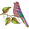 Oiseau