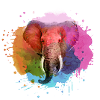 elefant,blau ,bunt,malerei,bunt,aquarell,graffiti