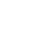 Evolution Fischer