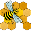Insect