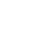 Evolution Fleischer