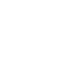 Evolution Fliesenleger