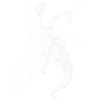 Velociskator weiss