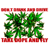 Cannabis