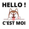 chien qui dit bonjour