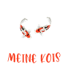 Kois Fisch Koifisch Geschenk