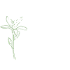 Glück