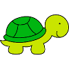Bébé Tortue
