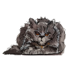 Fiese Katze