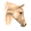 Pferdemotiv