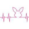 ECG and rabbit head