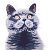 Britische kurzhaar Katze