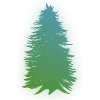 Single Pine Tree