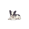 Frenchie Dogs Cadeau Français Bulldog