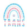 Transgender Boho Rainbow Trans