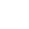 white sparrow