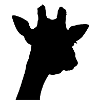 black giraffe
