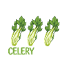 Celery Gift