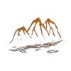 Caravan Camper Camping
