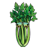 Celery Sunglasses