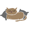 cat sleep tired pet animal