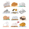 Reading Cats Collection