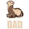 Furet Mignon Animal Furet Amoureux