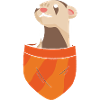 Ferret Cute Animal Ferret Lover