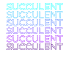 Succulent Retro