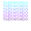 Taekwondo Retro