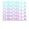 Chinchilla Rétro