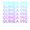 Guinea Pig Retro
