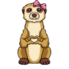 Erdmännchenliebe Erdmännchenmama Erdmännchen Herz