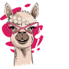 Romantic lama. Bauer Gift