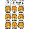 Garfield The Many Moods Of Garfield