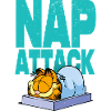 Garfield Nap Attack